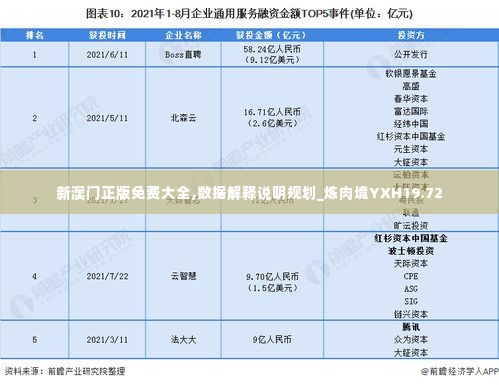新澳门正版免费大全,数据解释说明规划_炼肉境YXH19.72