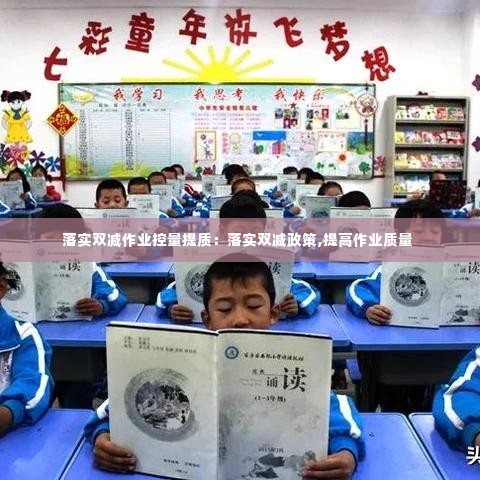 落实双减作业控量提质：落实双减政策,提高作业质量 