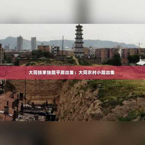 大同独家独院平房出售：大同农村小院出售 