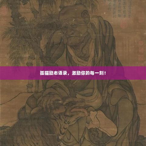 孤猫励志语录，激励你的每一刻！