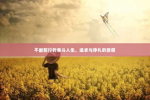 不断前行的奋斗人生，追求与挣扎的旅程