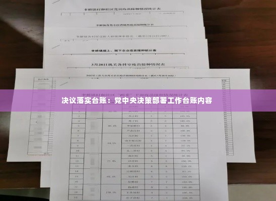决议落实台账：党中央决策部署工作台账内容 