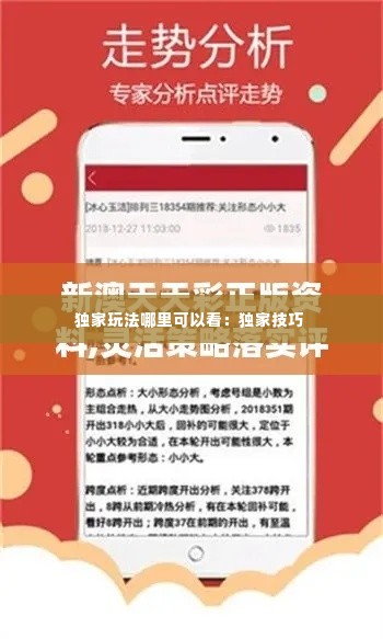 独家玩法哪里可以看：独家技巧 