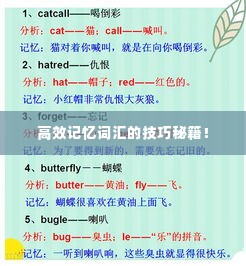 纸制品 第56页