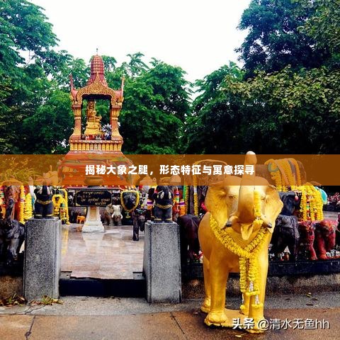 揭秘大象之腿，形态特征与寓意探寻