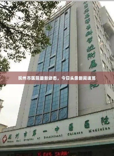 抚州市医院最新动态，今日头条新闻速览