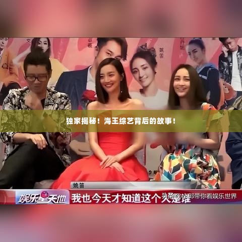 独家揭秘！海王综艺背后的故事！