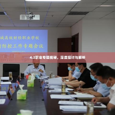 4.2职业专题揭秘，深度探讨与解析