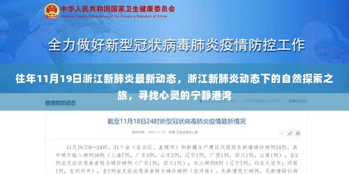浙江新肺炎动态下的自然探索之旅，心灵港湾的寻找——往年11月19日最新动态