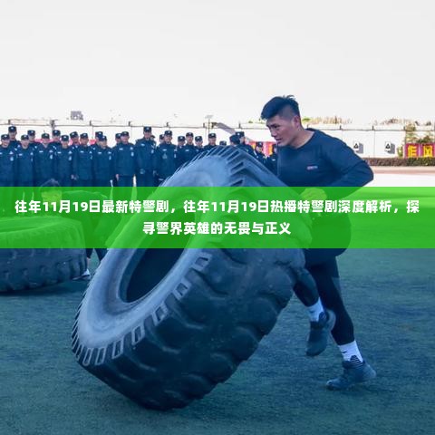 探寻警界英雄的无畏与正义，往年11月19日特警剧深度解析与回顾