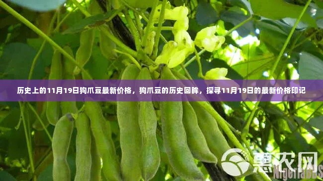 建筑材料 第378页
