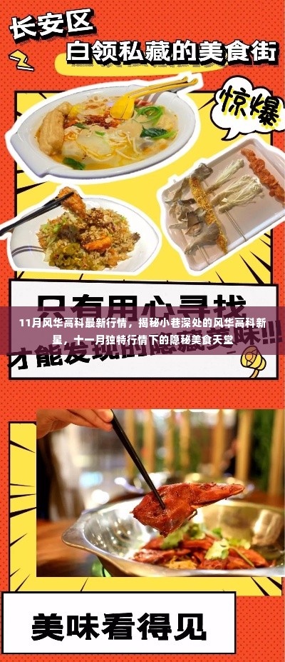 揭秘风华高科11月独特行情，小巷新星与隐秘美食天堂介绍
