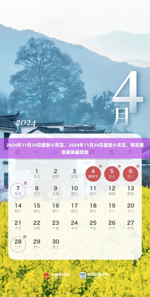 娱乐圈新星璀璨绽放，最新小花旦闪耀登场，2024年11月20日瞩目新星
