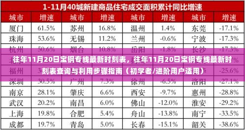 往年11月20日宝钢专线时刻表大全，查询指南与利用步骤，初学者与进阶用户必备参考！