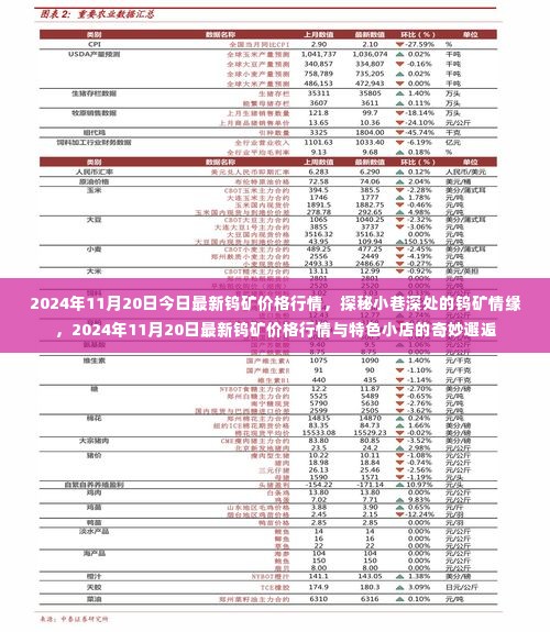 探秘小巷深处的钨矿情缘，最新钨矿价格行情与特色小店的奇妙邂逅 2024年11月20日