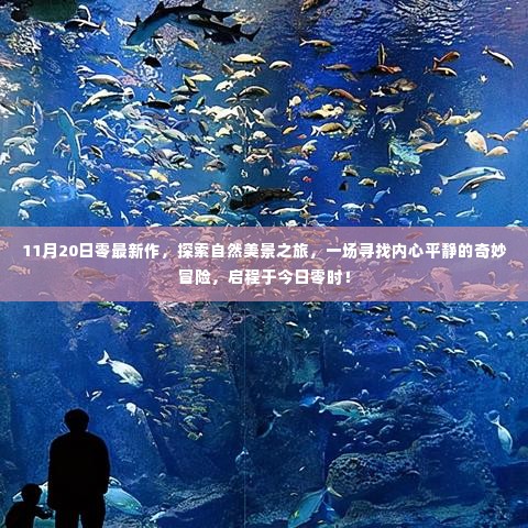 11月20日零时启程，自然美景探索之旅，内心平静的奇妙冒险