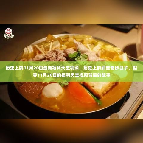 第3364页