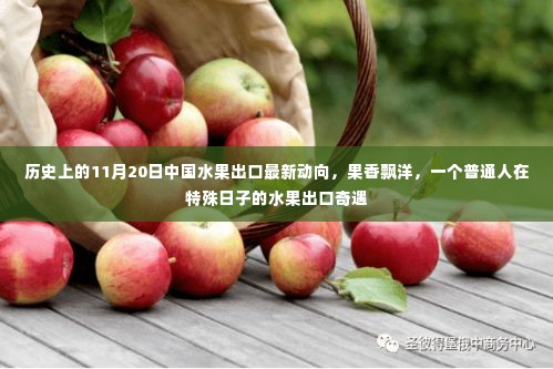 果香跨越万里，普通人见证中国水果出口新动向的奇遇日纪实