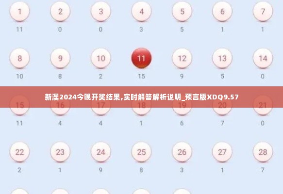 新澳2024今晚开奖结果,实时解答解析说明_预言版XDQ9.57
