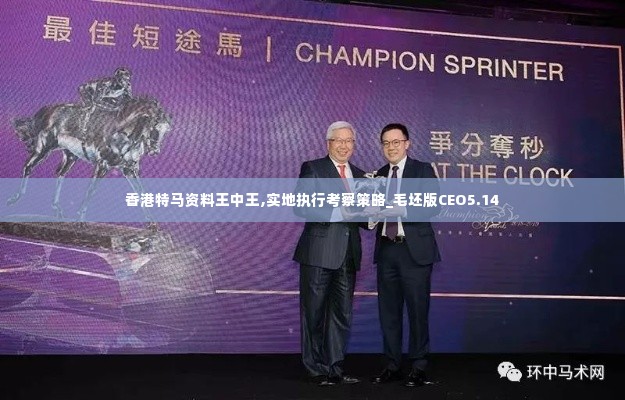 香港特马资料王中王,实地执行考察策略_毛坯版CEO5.14