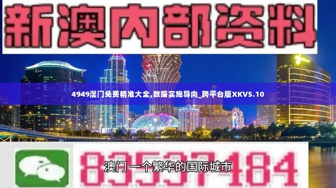 4949澳门免费精准大全,数据实施导向_跨平台版XKV5.10
