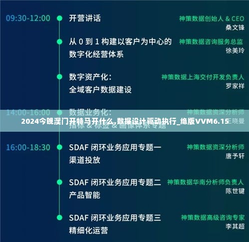 2024今晚澳门开特马开什么,数据设计驱动执行_绝版VVM6.15