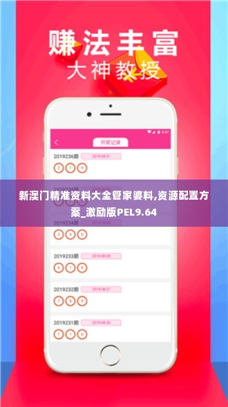 新澳门精准资料大全管家婆料,资源配置方案_激励版PEL9.64