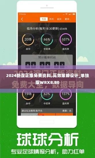 2024新澳正版免费资料,高效策略设计_单独版WRX8.80