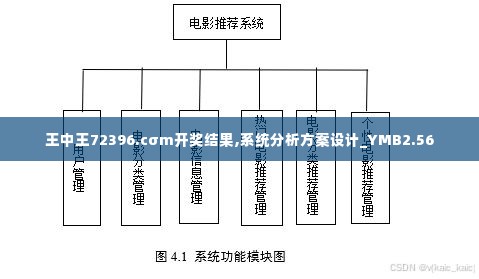 王中王72396.cσm开奖结果,系统分析方案设计_YMB2.56