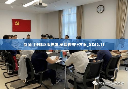 新澳门挂牌正版挂牌,灵活性执行方案_DZS2.13