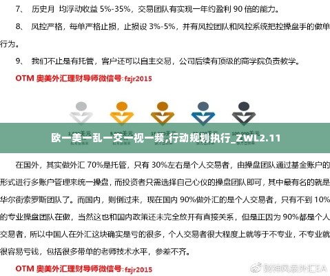 欧一美一乱一交一视一频,行动规划执行_ZWL2.11