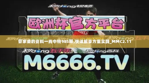 管家婆的资料一肖中特985期,快速解答方案实践_MMC2.11