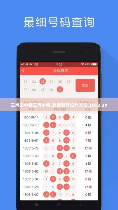 三肖必中特三肖中特,数据引导设计方法_HXJ2.29