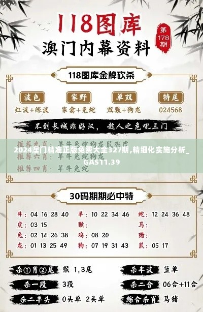 2024澳门精准正版免费大全327期,精细化实施分析_GAS11.39