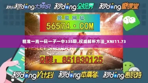 精准一肖一码一子一中335期,权威解析方法_XNI11.73