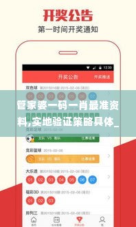 管家婆一码一肖最准资料,实地验证策略具体_WRH2.89
