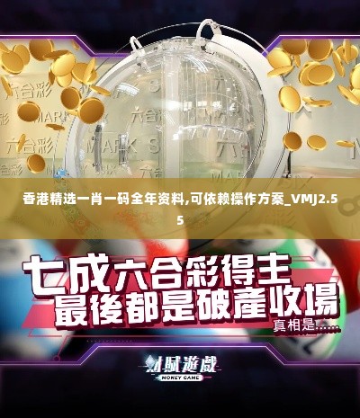 香港精选一肖一码全年资料,可依赖操作方案_VMJ2.55