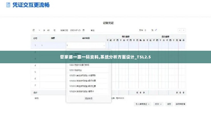 管家婆一票一码资料,系统分析方案设计_TSL2.5