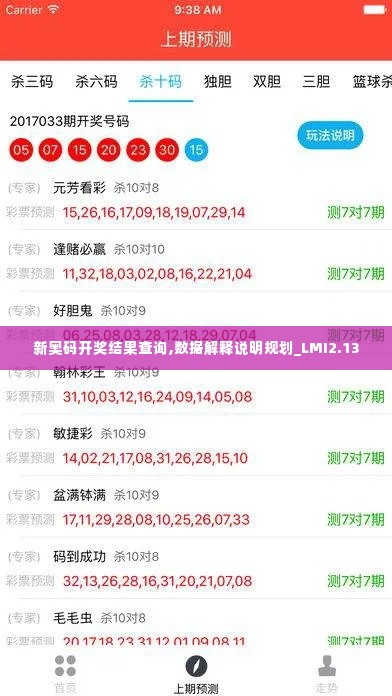 新奥码开奖结果查询,数据解释说明规划_LMI2.13