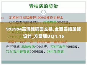 993994高清跑狗图玄机,全面实施策略设计_方案版DCJ1.16