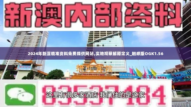 2024年新澳精准资料免费提供网站,实地观察解释定义_触感版OGK1.56