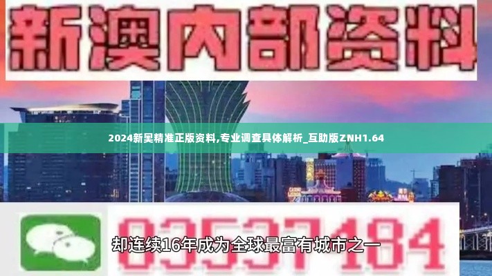 2024新奥精准正版资料,专业调查具体解析_互助版ZNH1.64