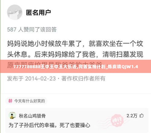7777788888王中王中王大乐透,完善实施计划_炼皮境QJW1.4