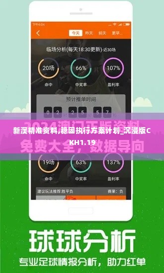 新澳精准资料,稳固执行方案计划_沉浸版CKH1.19
