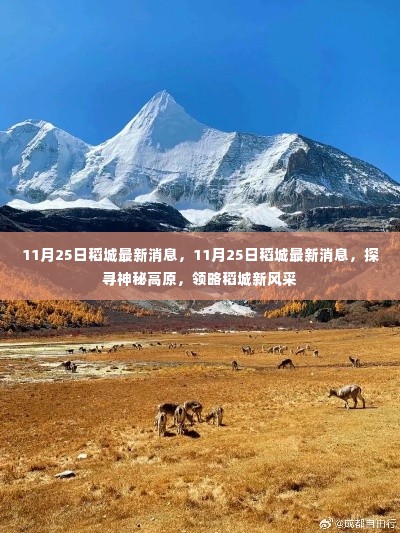 探寻神秘高原，最新稻城消息带你领略稻城新风采