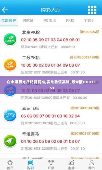 白小姐四肖八码其其准,实地验证实施_曝光版DUB13.51