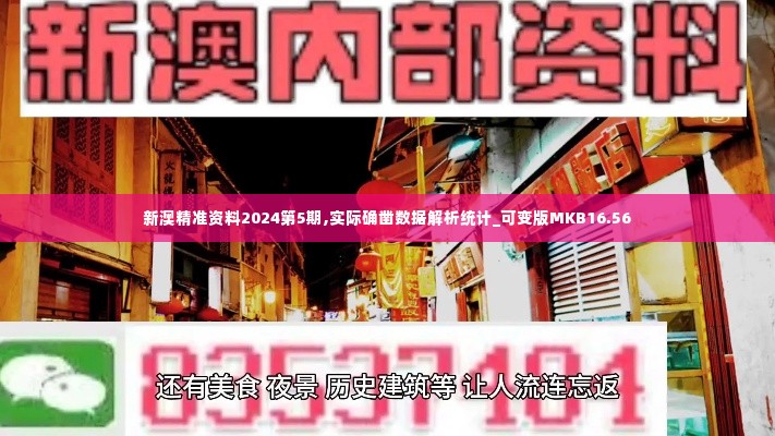 新澳精准资料2024第5期,实际确凿数据解析统计_可变版MKB16.56