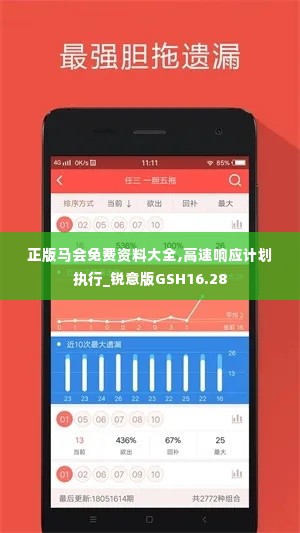 正版马会免费资料大全,高速响应计划执行_锐意版GSH16.28