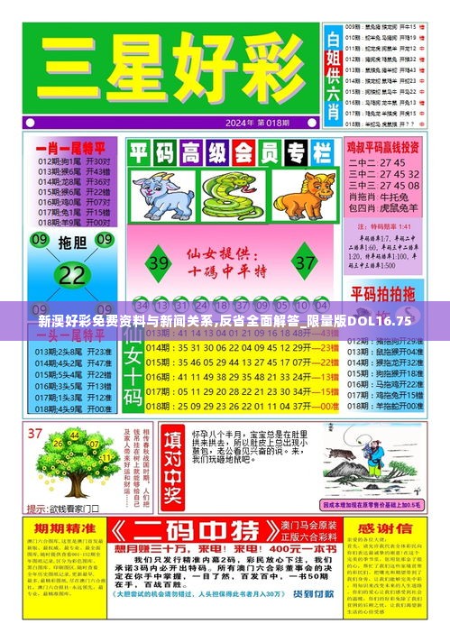 家具 第339页