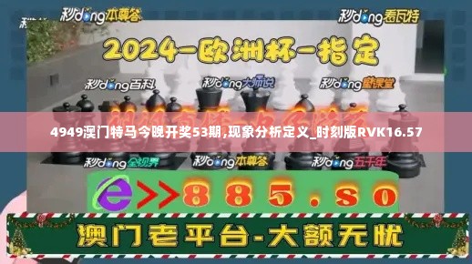 4949澳门特马今晚开奖53期,现象分析定义_时刻版RVK16.57